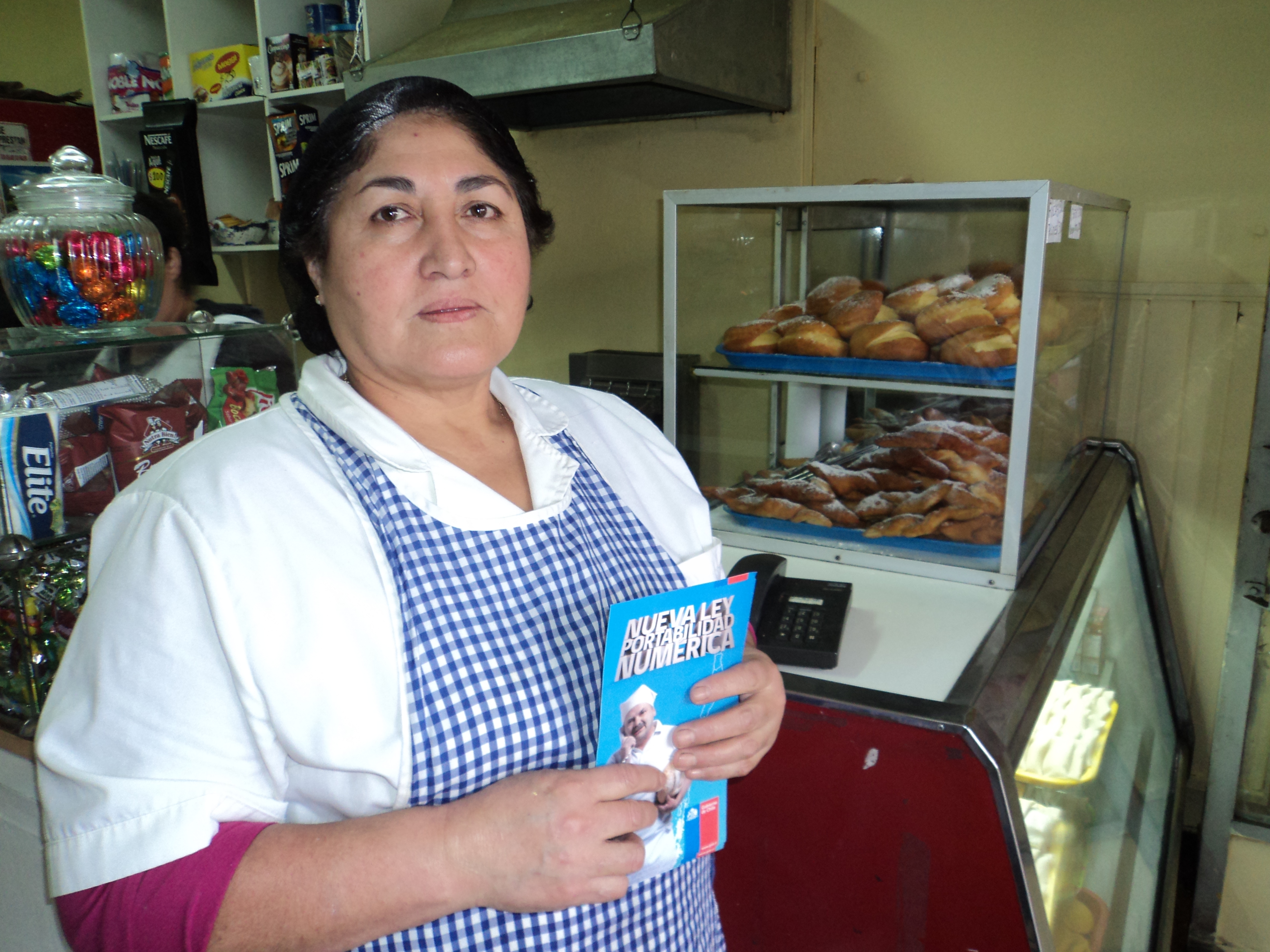 En la región de El Maule las autoridades locales comunicaron a las pequeñas y medianas empresas los pasos para realizar el cambio de compañía.