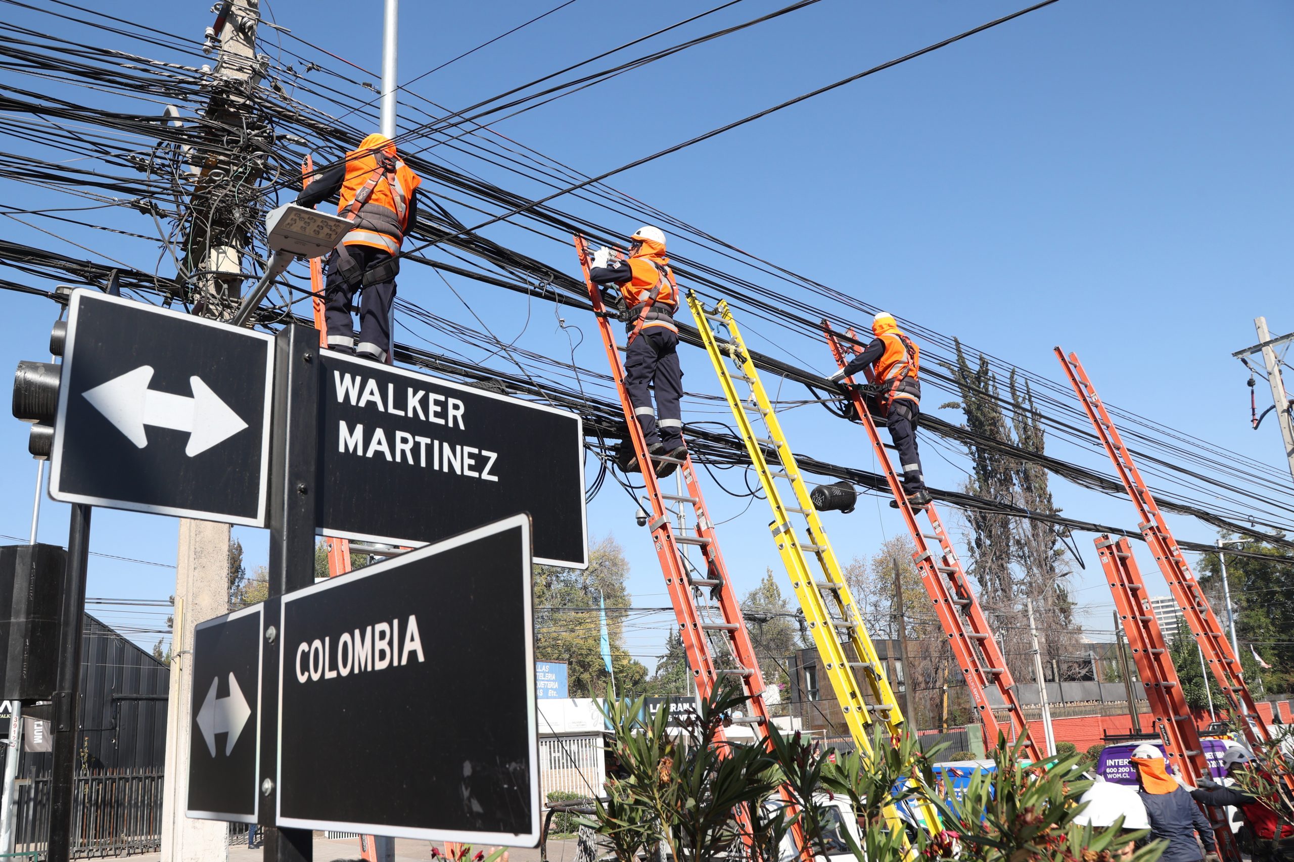 5D8A8063 copia